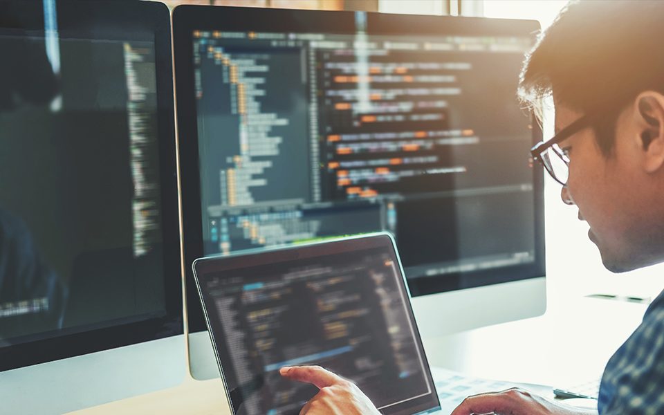 5 Benefits of Hiring Developer from Sufalam Technologies 3 Hire-developer-1